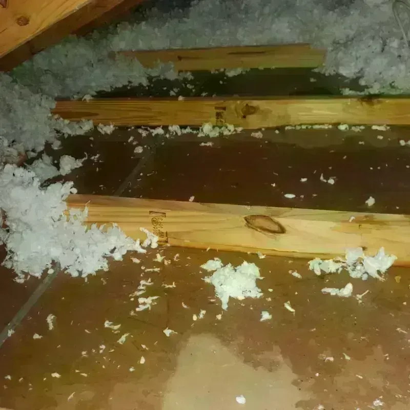 Attic Water Damage in Homer, NY